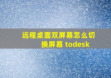 远程桌面双屏幕怎么切换屏幕 todesk